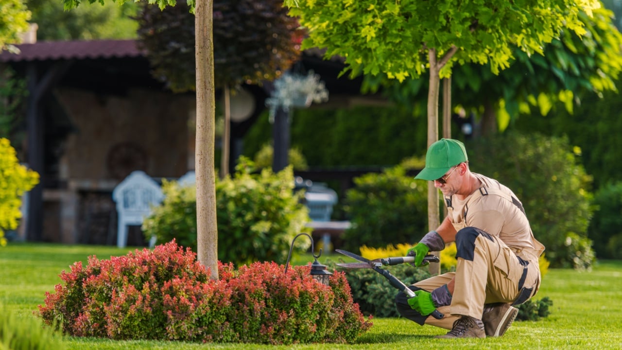 A professional gardener carefully trims vibrant bushes while kneeling beside a tree in a well-maintained backyard filled with greenery.