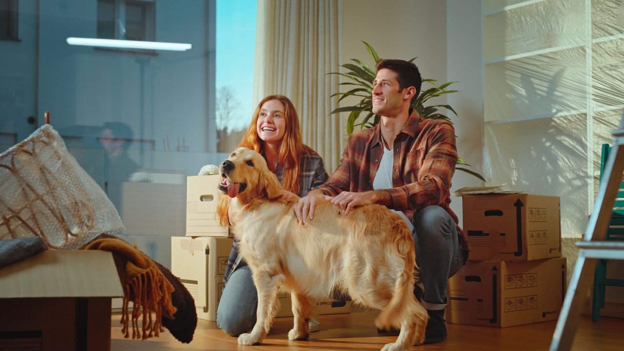 A young couple of beautiful guys enter the new house carrying boxes, the dog arrives, a golden retriever, and they cuddle it