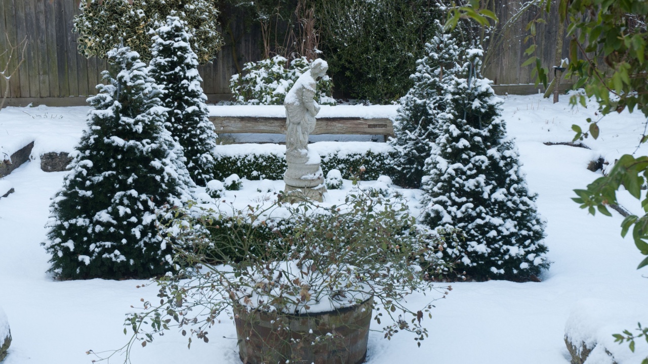 A serene winter garden scene features snow-laden evergreen trees surrounding a delicate statue, creating a peaceful atmosphere.