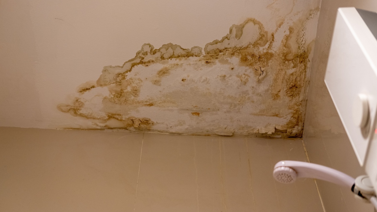 Bathroom ceiling with visible moisture stains showing dampness, humidity, and water damage