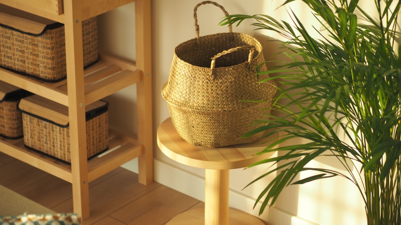 Warm interior scene with wicker basket and plant