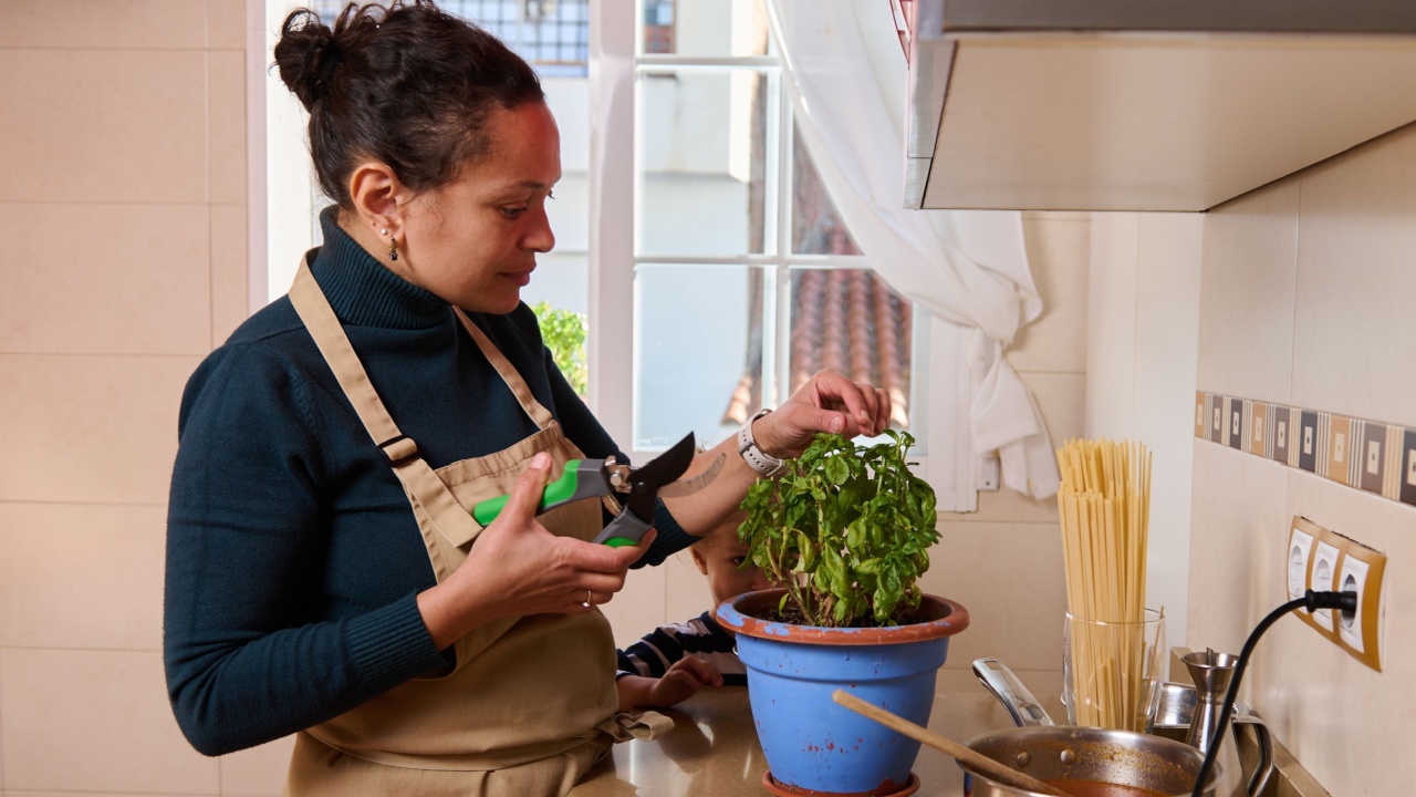 A woman in a beige apron trims a basil plant in a bright kitchen, using shears beside a blue pot and cooking utensils.