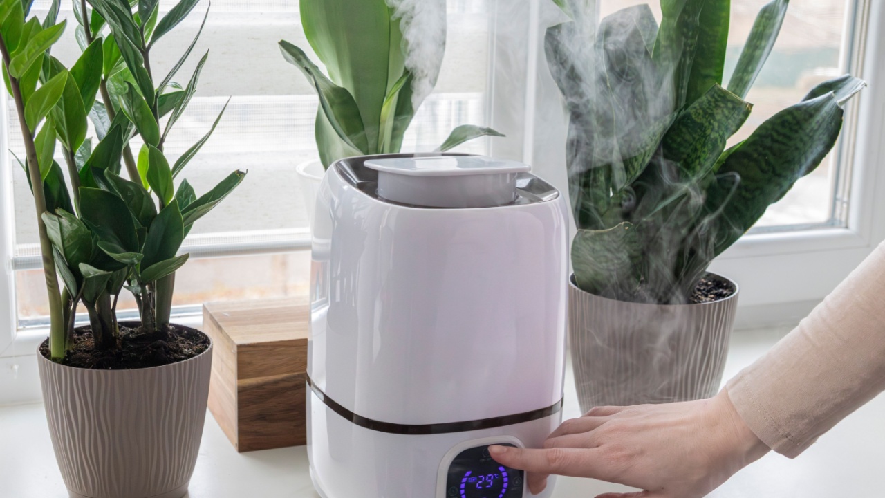 Woman adjusts the humidifier using the digital control panel. Concept of indoor humidity regulation, dry air reduction, winter climate comfort, smart home air care, and moisture balance.