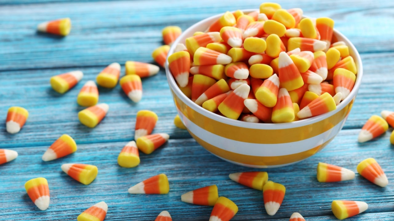 Halloween candy corns in bowl on blue wooden background