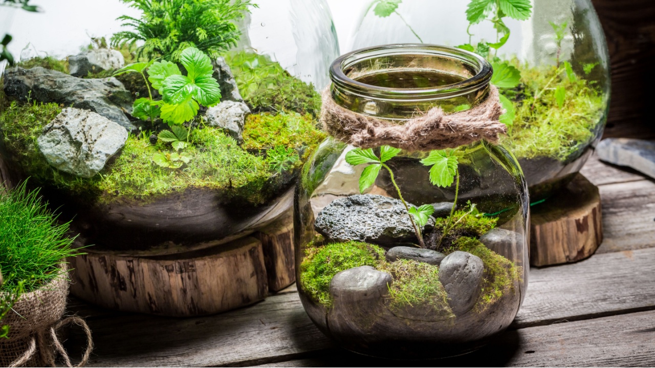 Stunning rain forest in a jar, save the earth idea