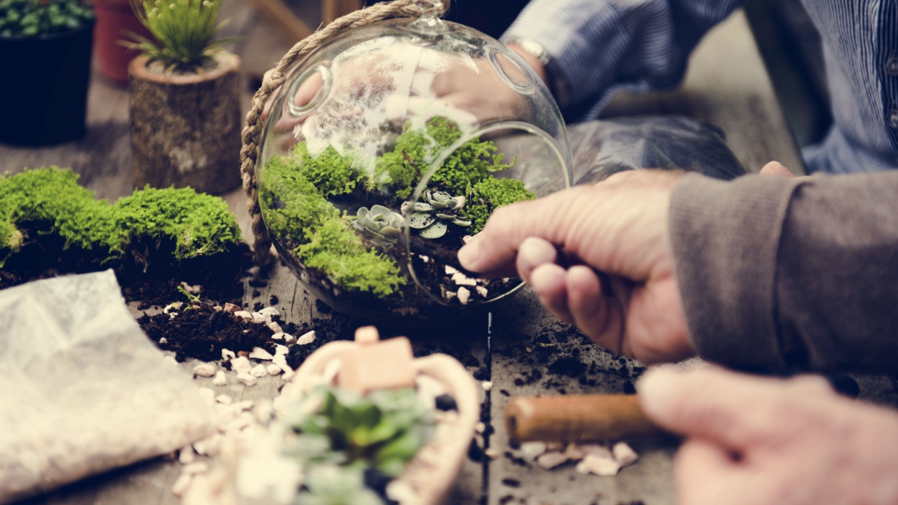 Botanical Environment Green Pottery Nature