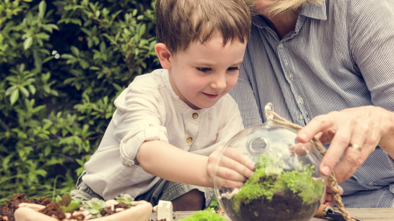 Botanical Environment Green Pottery Nature