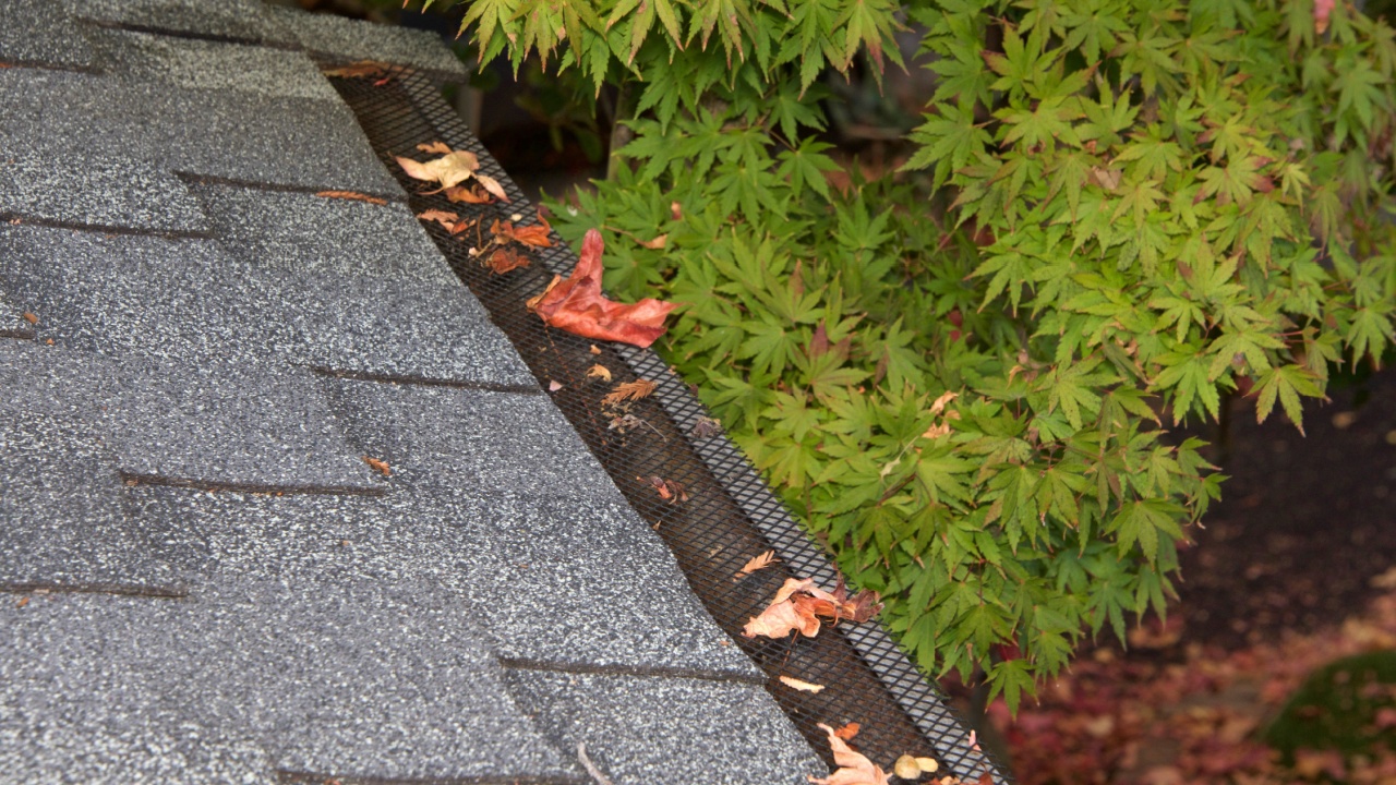 Mesh guards over troughs to prevent leaves and large debris from getting into gutters. Clogged gutters less likely, maintenance is much easier, can prevent rusting and provides added fire protection.