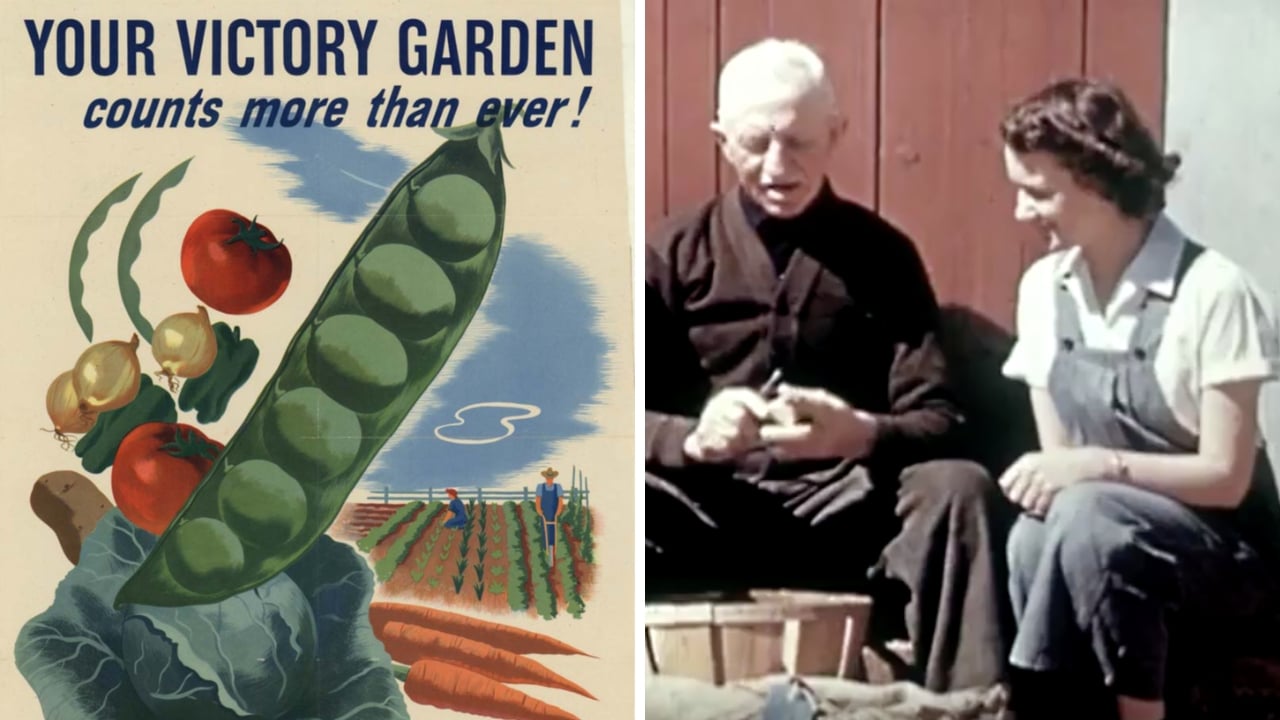 on one side is a Victory Garden poster from WWII. On the right, a grandfather shows his granddaughter how to prepare potatoes for planting.