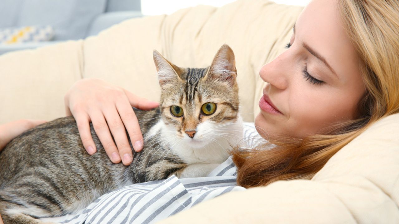 Young beautiful woman with cat at home