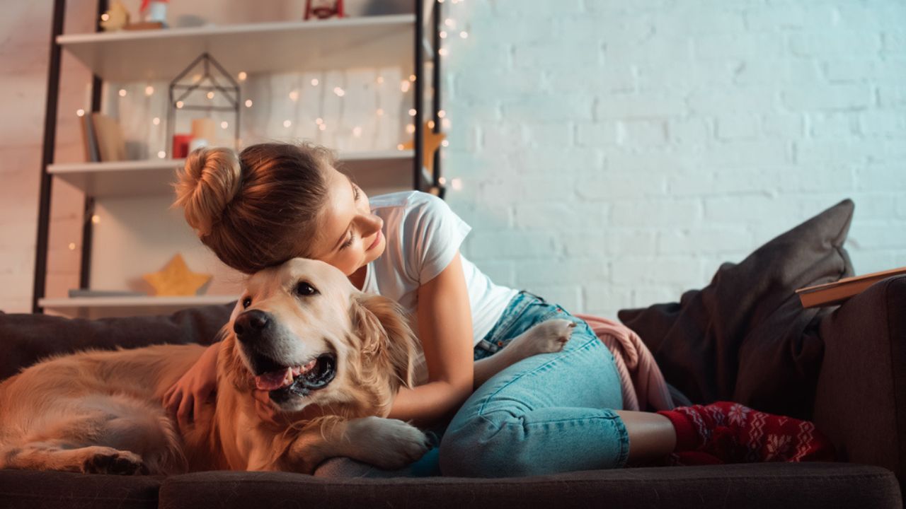 Young blonde woman on couch hugging golden retriever dog at christmas time