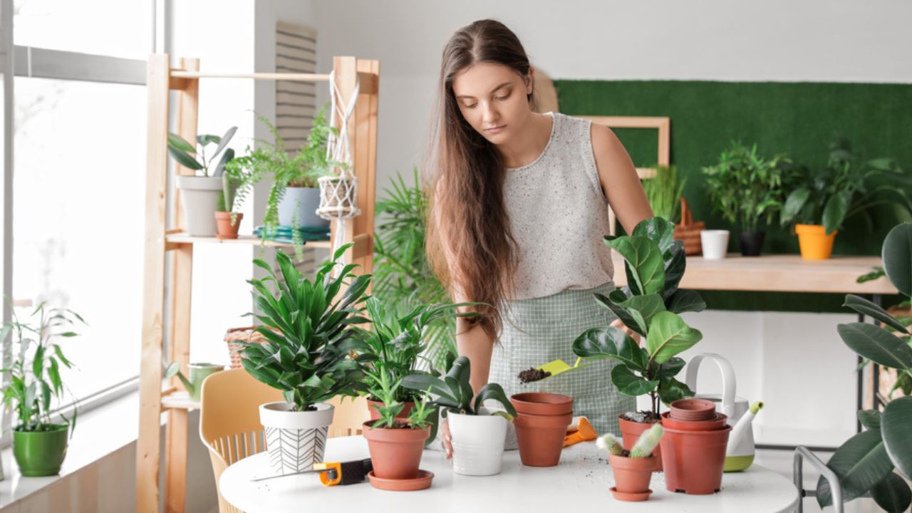Young woman taking care of her plants at home