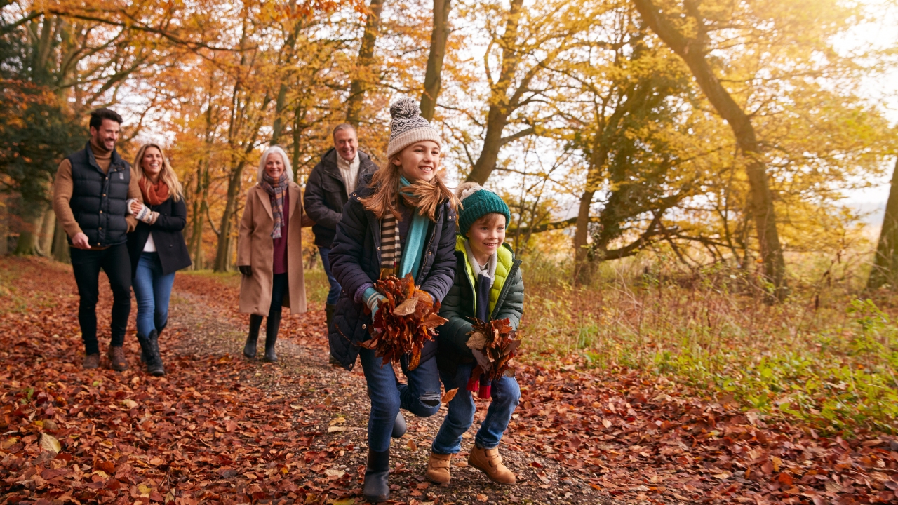 a family goes for a hike on a fall day