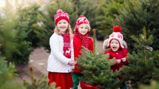 Three young children gather around a small tree at a Christmas tree farm