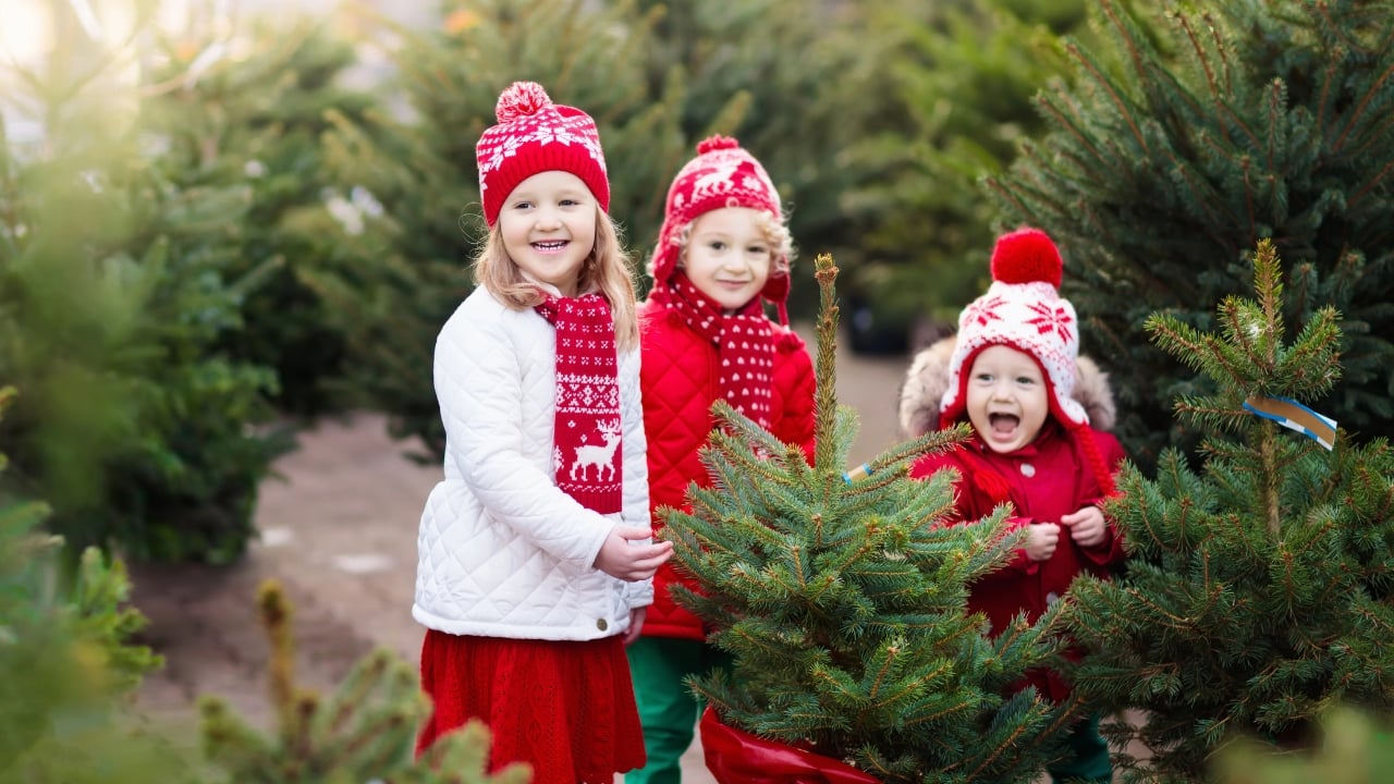 Three young children gather around a small tree at a Christmas tree farm
