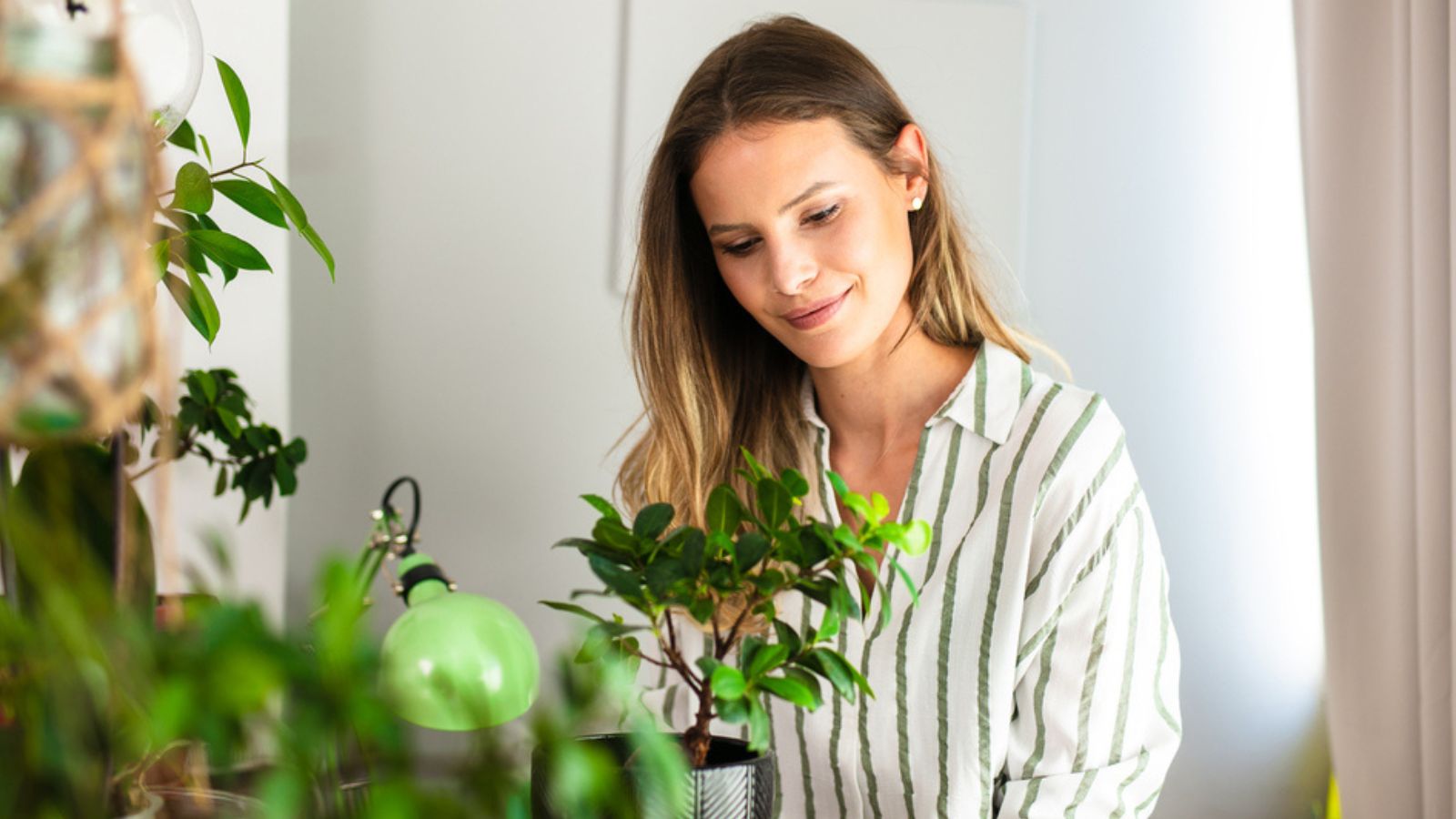 woman taking care of the house plants, gardening