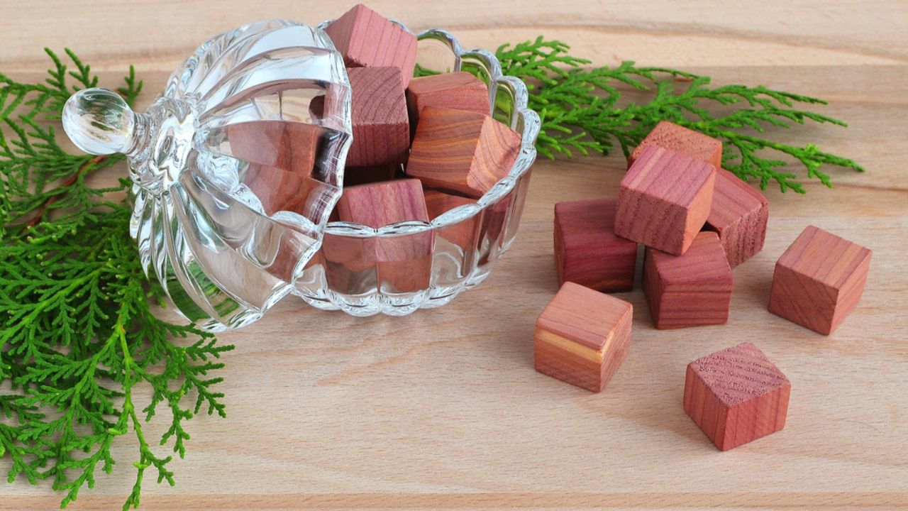 Fragrant wardrobe freshener cubes made of natural pencil cedar wood in a crystal bowl with a lid and few green cypress sprigs