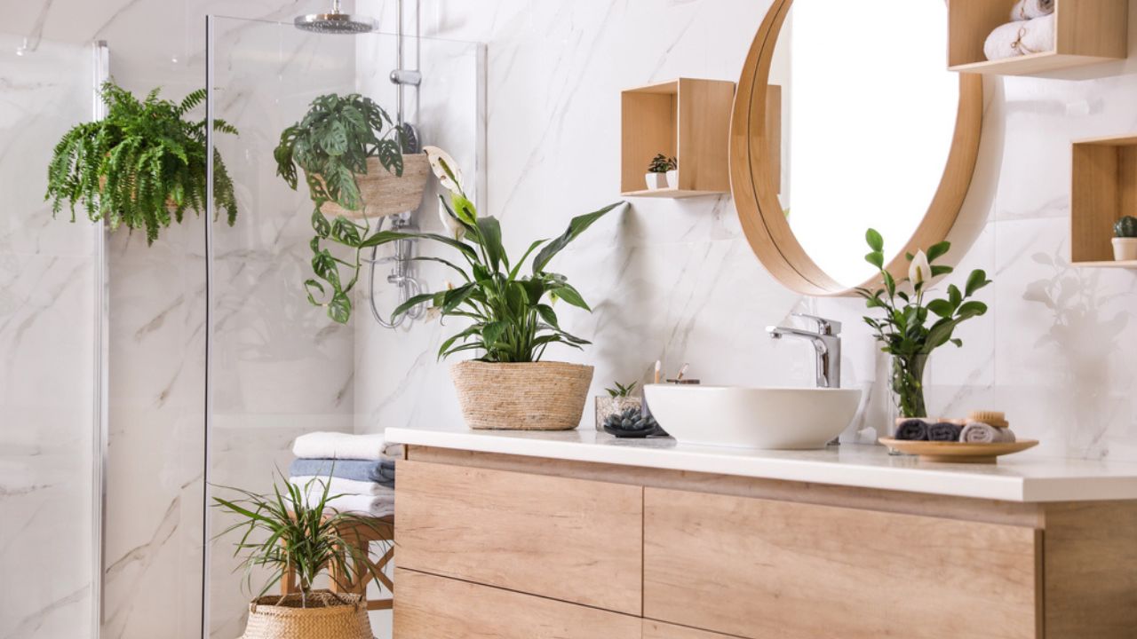 Green plants in elegant modern bathroom. Interior design