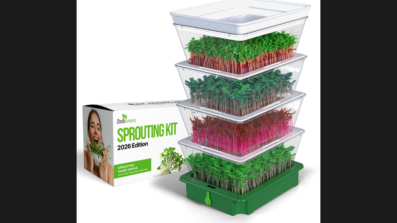 zesti greens sprouting kit