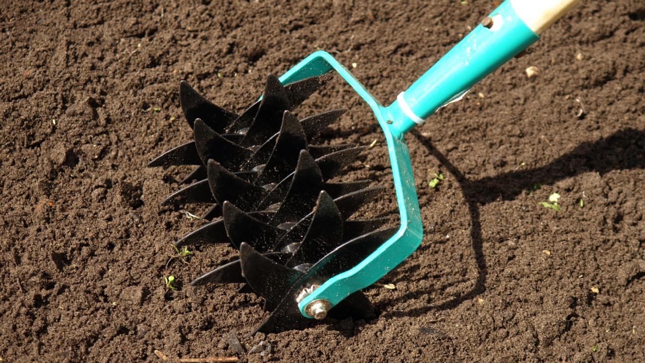 Garden work: cultivation of soil, close up