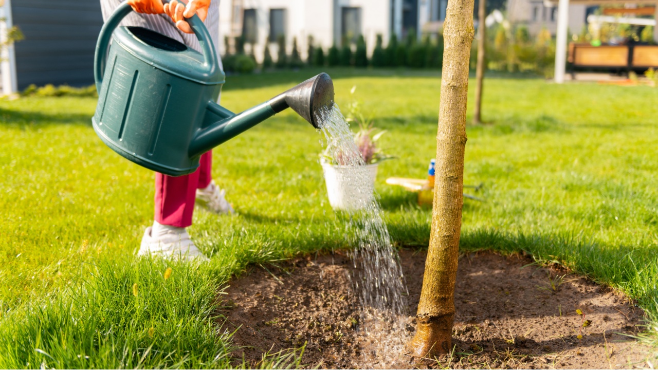 Tree. Inspired motivated person spending a day on watering flowers