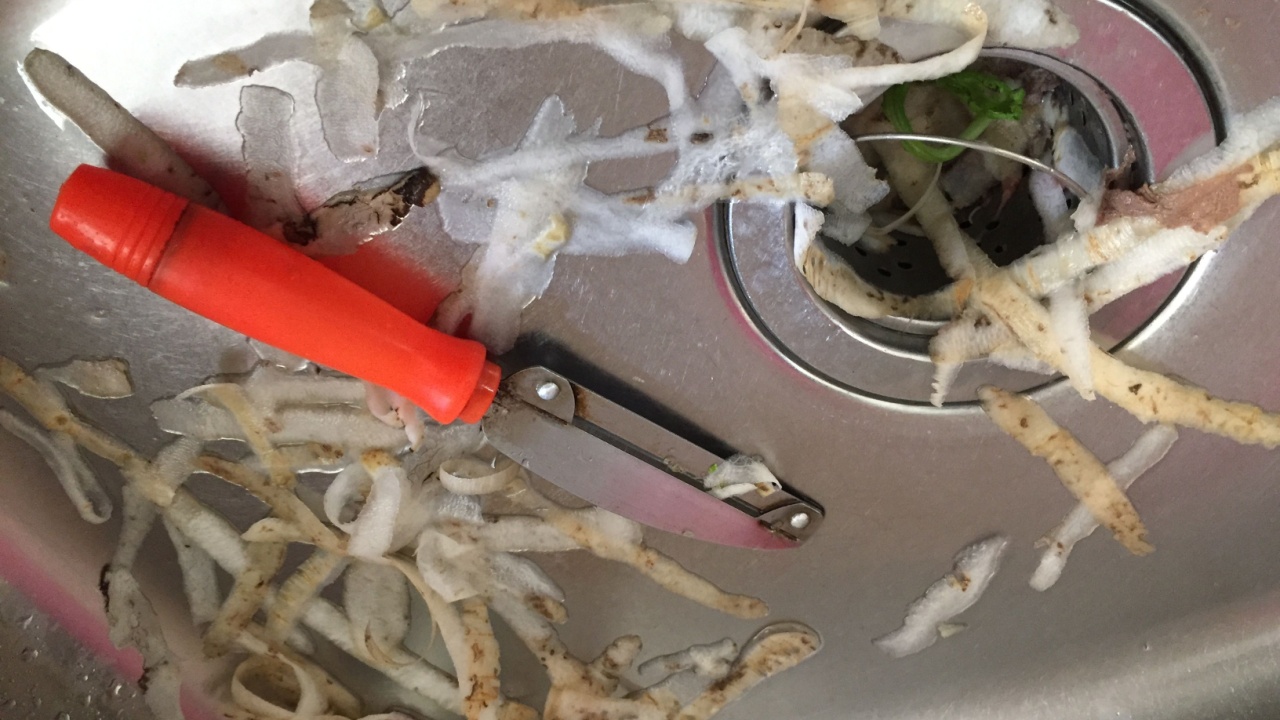 Vegetables peels and leftovers