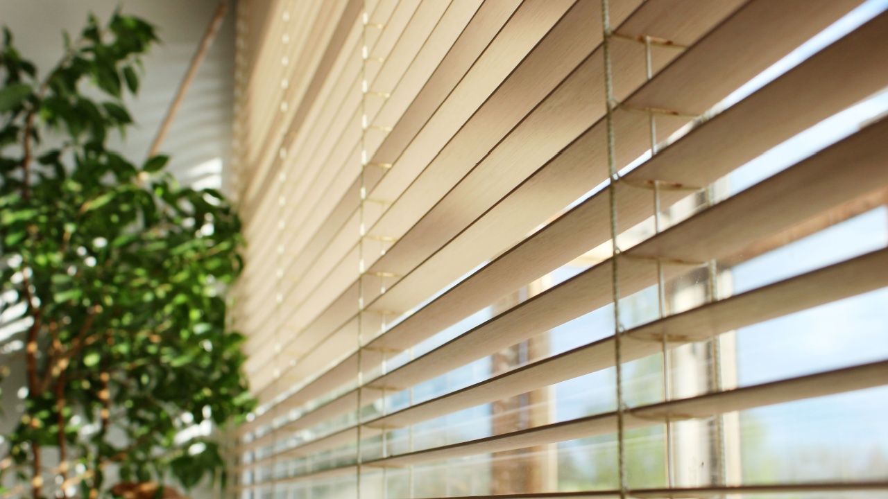 bamboo blinds and green plant on the window with sunshine