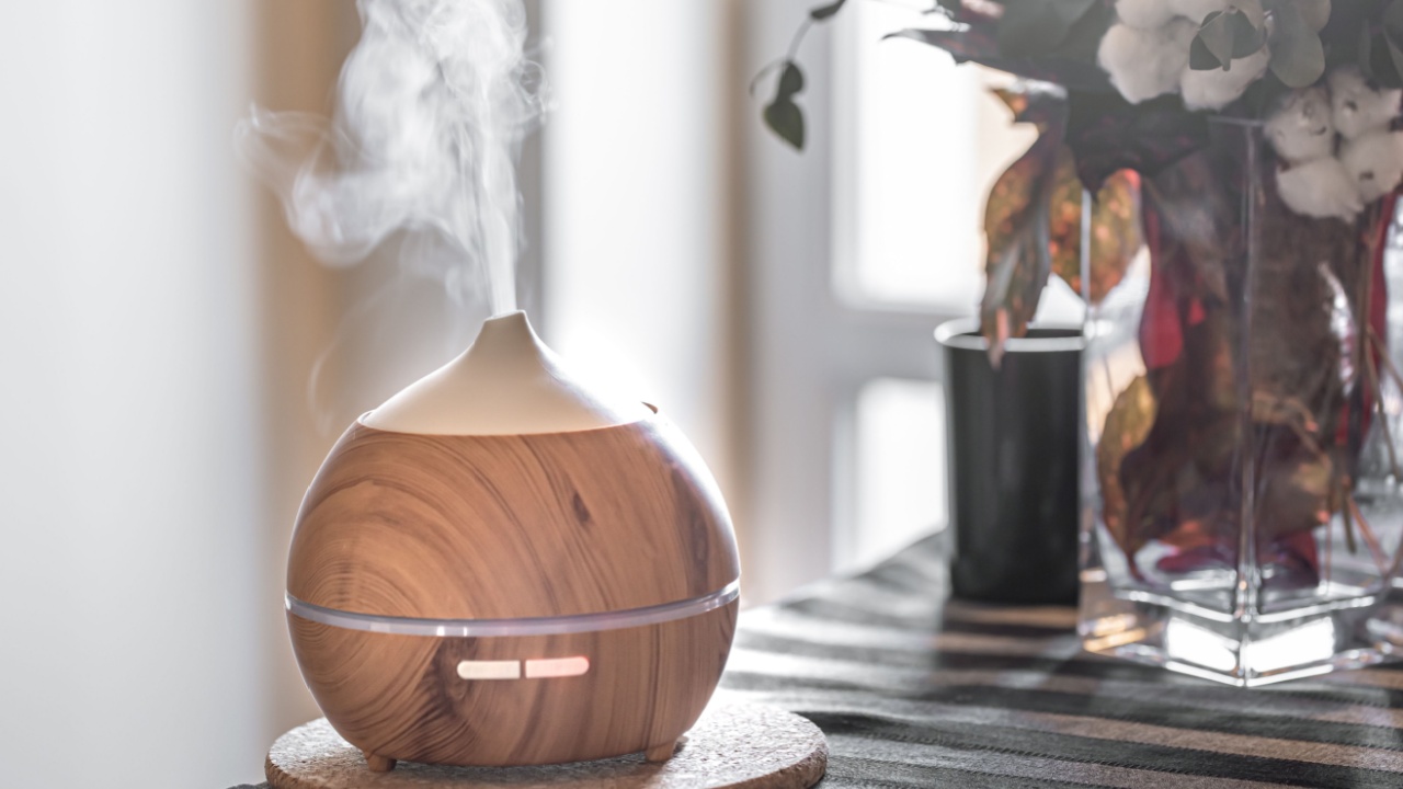 Composition with air humidifier and flowers in a vase. Health care concept.