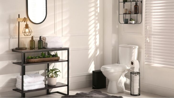 Remodeling a Bathroom? 4 Benefits of a Euro-Style Toilet Room