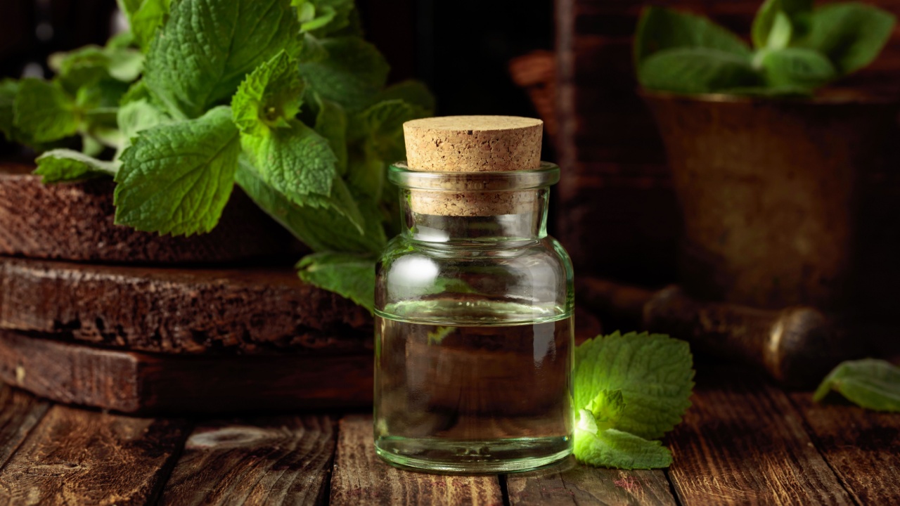 Fresh spearmint leaves and a small bottle with essential mint oil. Herbal medicine ingredients on an old wooden background.