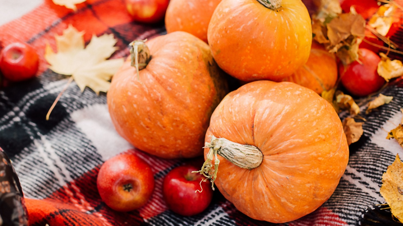 Autumn composition with pumpkins, maple leaves and red apples.