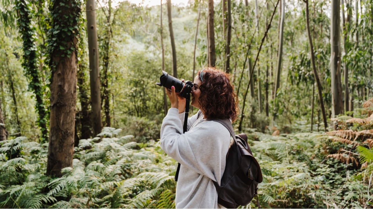 young caucasian photographer taking picture wit digital camera at sunset on forest landscape. Nature, hiking and sustainability concept