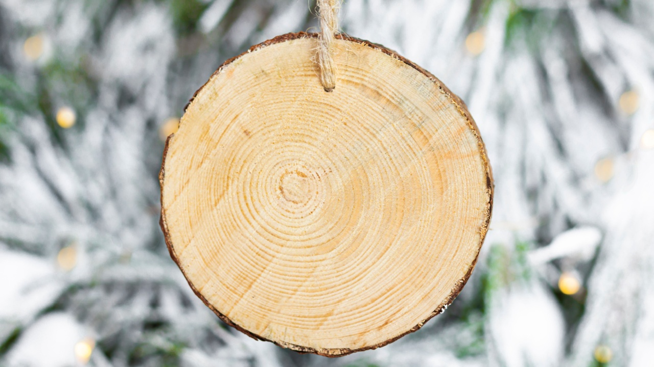 Blank tag wood texture round shape of Christmas tree decoration elements for writing down the text on it.