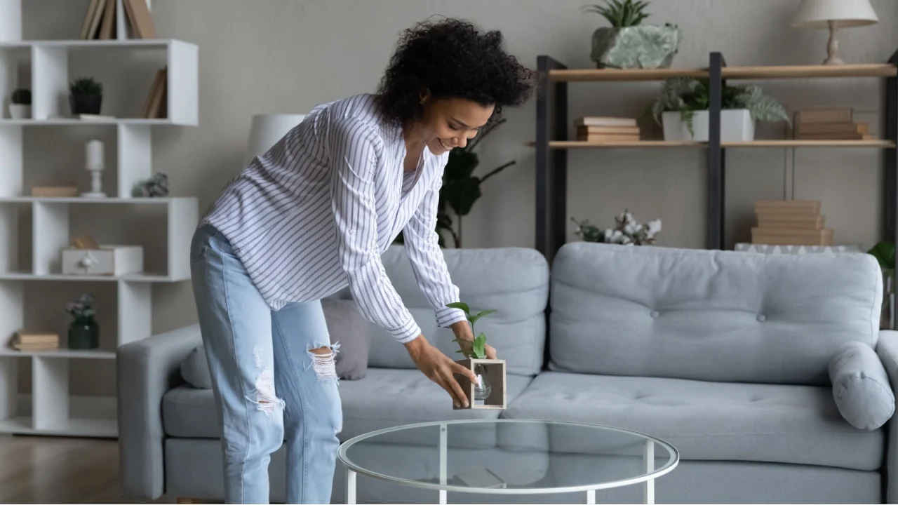 Happy African American woman taking care about green house plant in cozy modern living room at home, smiling young female satisfied tenant homeowner decorating own apartment.
