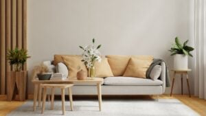 Bright and cozy modern living room interior have sofa and plant with white wall.