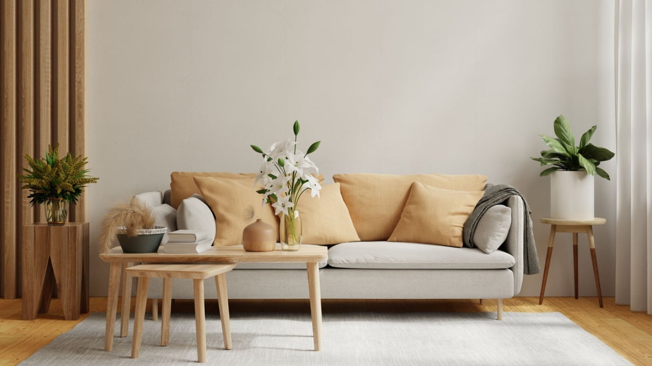 Bright and cozy modern living room interior have sofa and plant with white wall.
