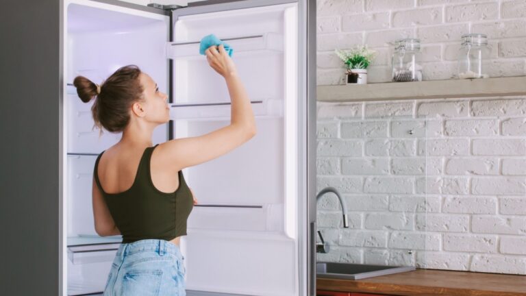 A young сaucasian woman cleans the refrigerator with a rag in the kitchen. Household chores, coziness and comfort in the house