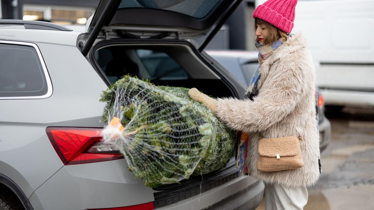 Woman packs wrapped Christmas tree into a car trunk, shopping for a winter holidays. Concept of delivery and online shopping on winter holidays