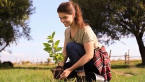 Young woman planting tree in garden on sunny day
