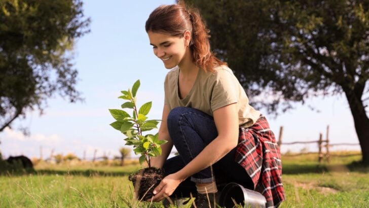 What is Your Birth Month Tree? And Should You Plant It?
