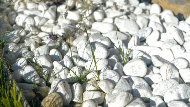 Use This Winter Staple to Ditch the Weeds (With One Caveat)