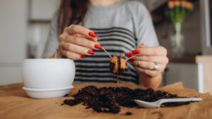 Unrecognizable woman holding retro jar with avocado seed with sapling growing in water. Agriculture and ecology, second life for avocado. Modern home decor. Minimalistic concept of plants composition.