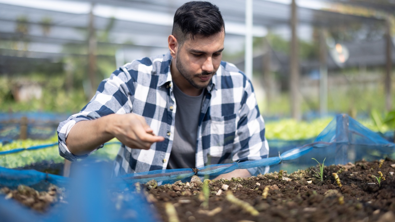 A worker on a vegetable farm examines soil conditions and crop growth to determine the best type and amount of crop to plant. A small business owner's daily planning and organizing routine