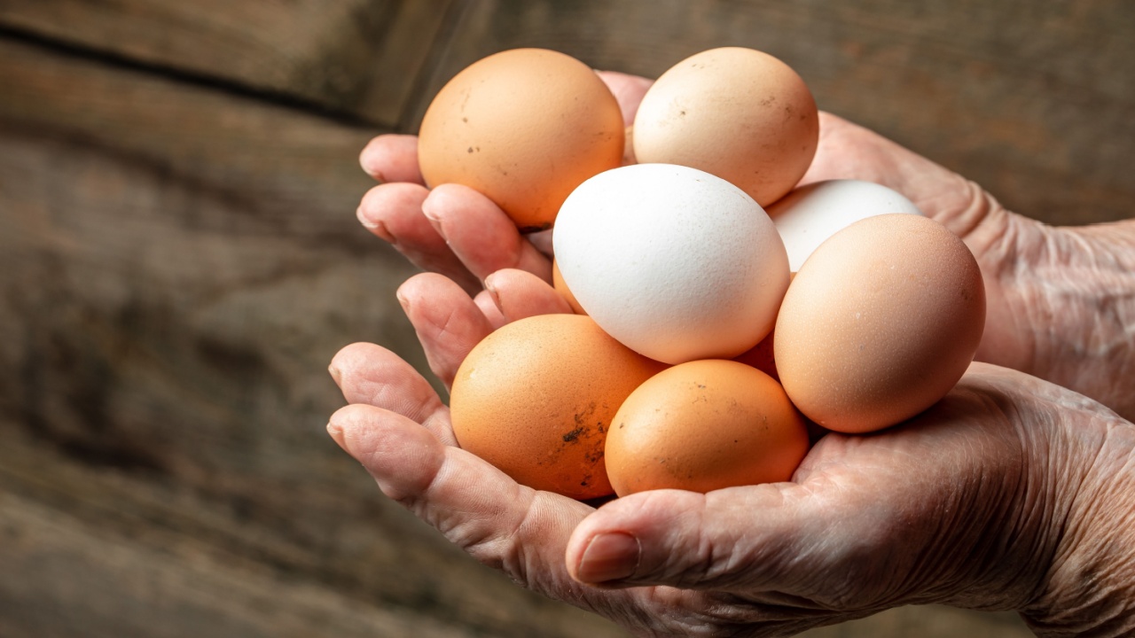 farmer hands holds fresh eggs. Concept of agriculture, bio and eco farming, bio food products. place for text.