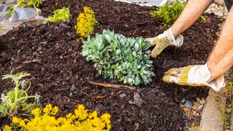 Installing weed control fabric material and bark mulch in a residential garden to control weed spreading