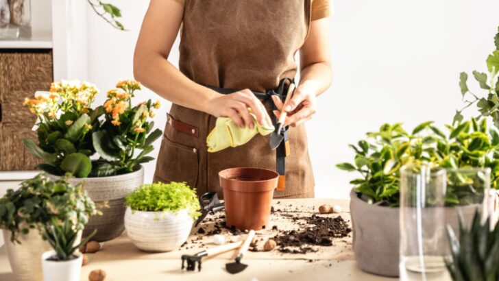 Restore the Shine: 5 Natural Ways to Restore Rusty Garden Tools