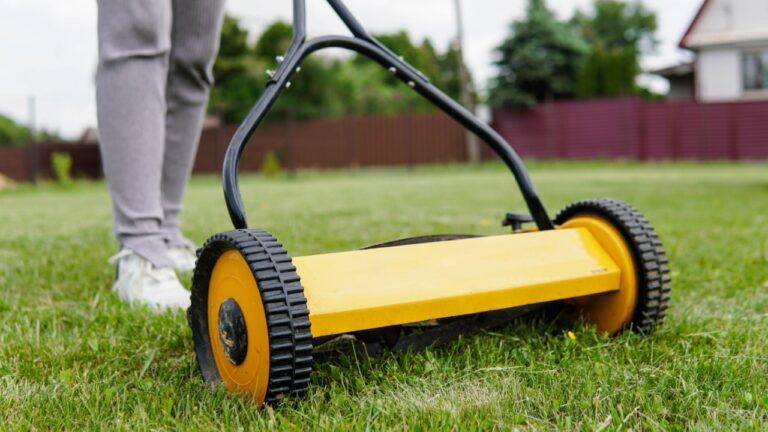 Woman lawn mowing with a manual push lawn mower