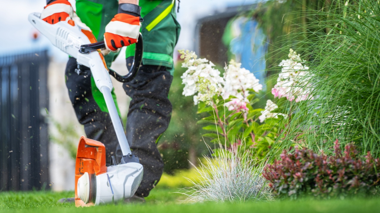 Professional Gardener with Lawn Edger Cutting Lawn Edges Close Up Photo. Gardening and Landscaping Industry Theme.
