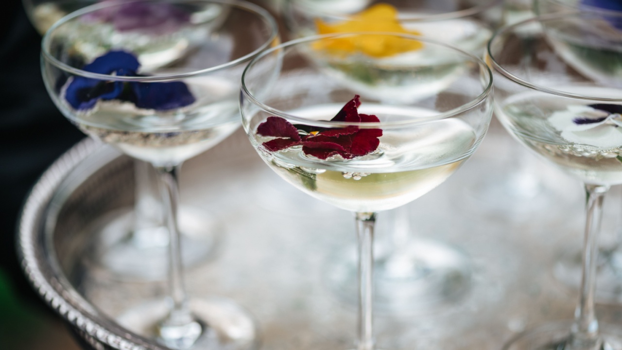 Glassware refreshing adult beverage edible flower cocktail social elegant catering event drink citrus party toast