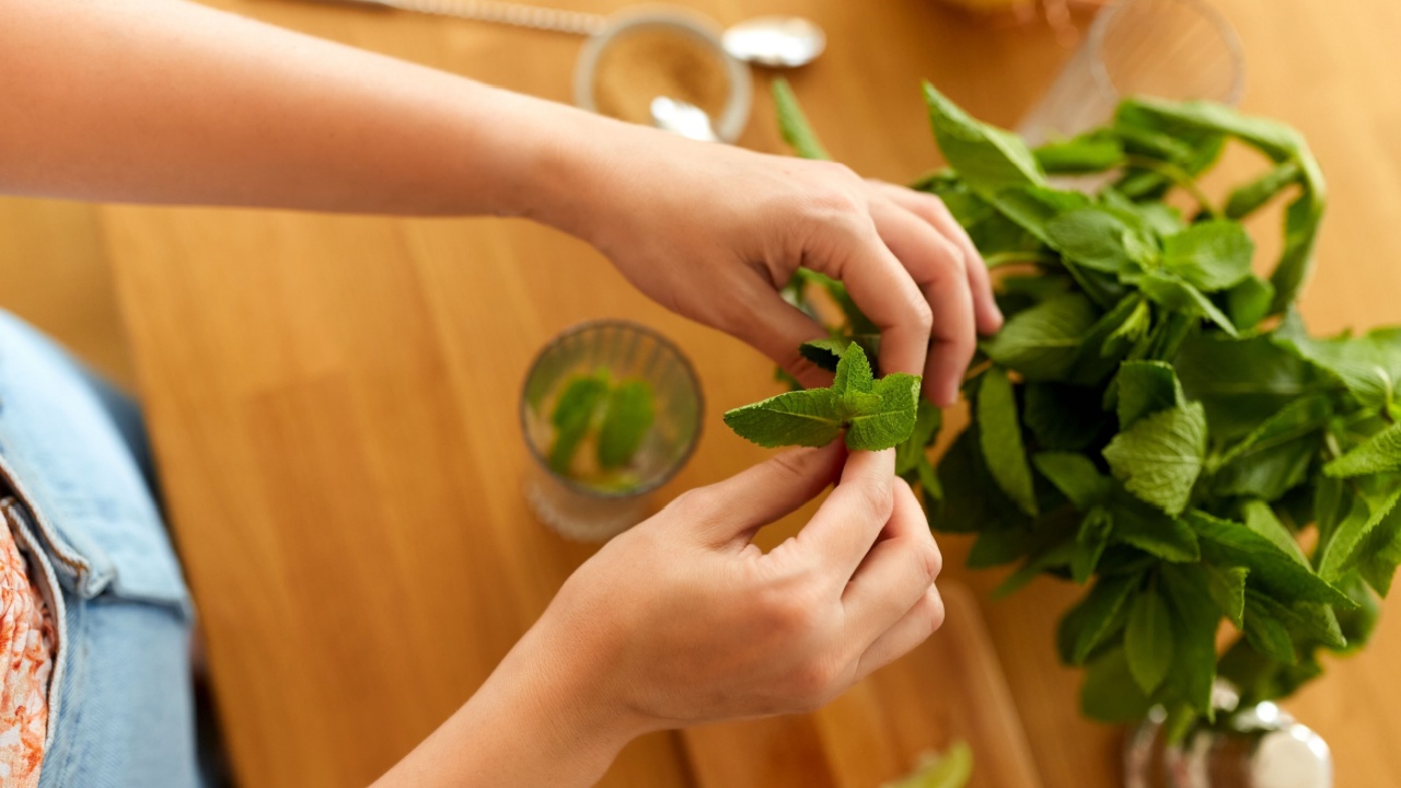 drinks and people concept - close up of woman with glass and peppermint making cocktail at home kitchen